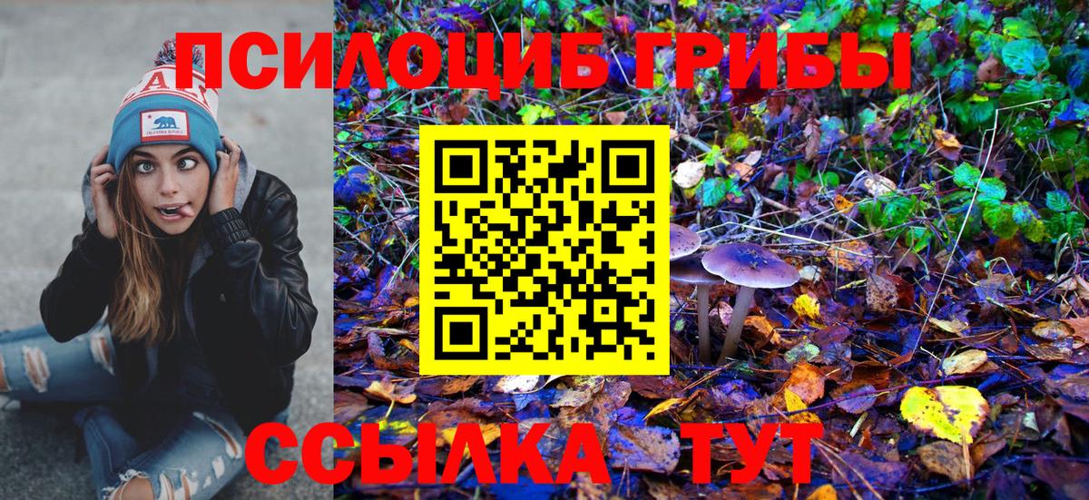 Новоуральск  Псилоцибиновые грибы мицелий  Вход с VPN  Псилоцибиновые грибы Psilocybine cubensis 